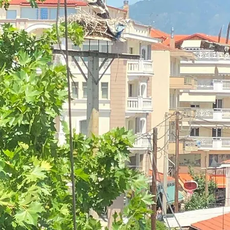Apartment διαμέρισμα στο κέντρο της πόλης Aridaia
